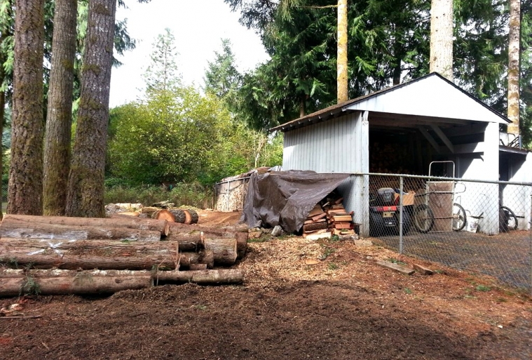 stump grinding, cutting trees, chipping trees